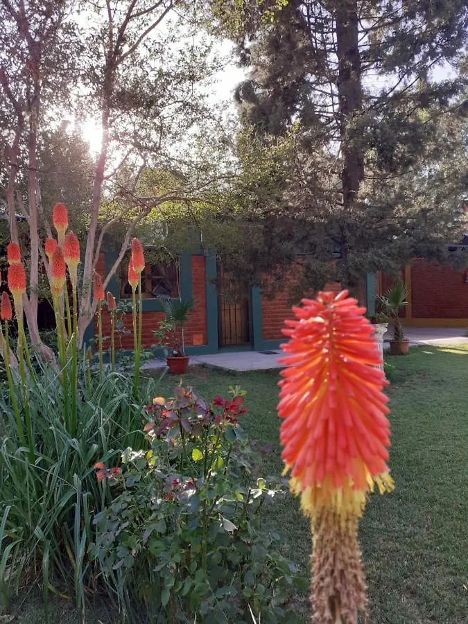 Chalet Cabanas Mirmar Mendoza